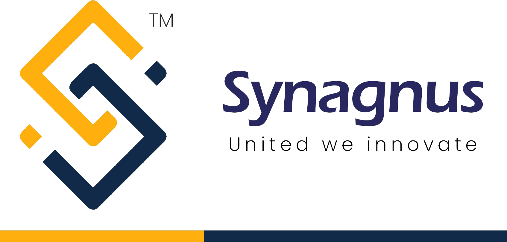 synagnus.com