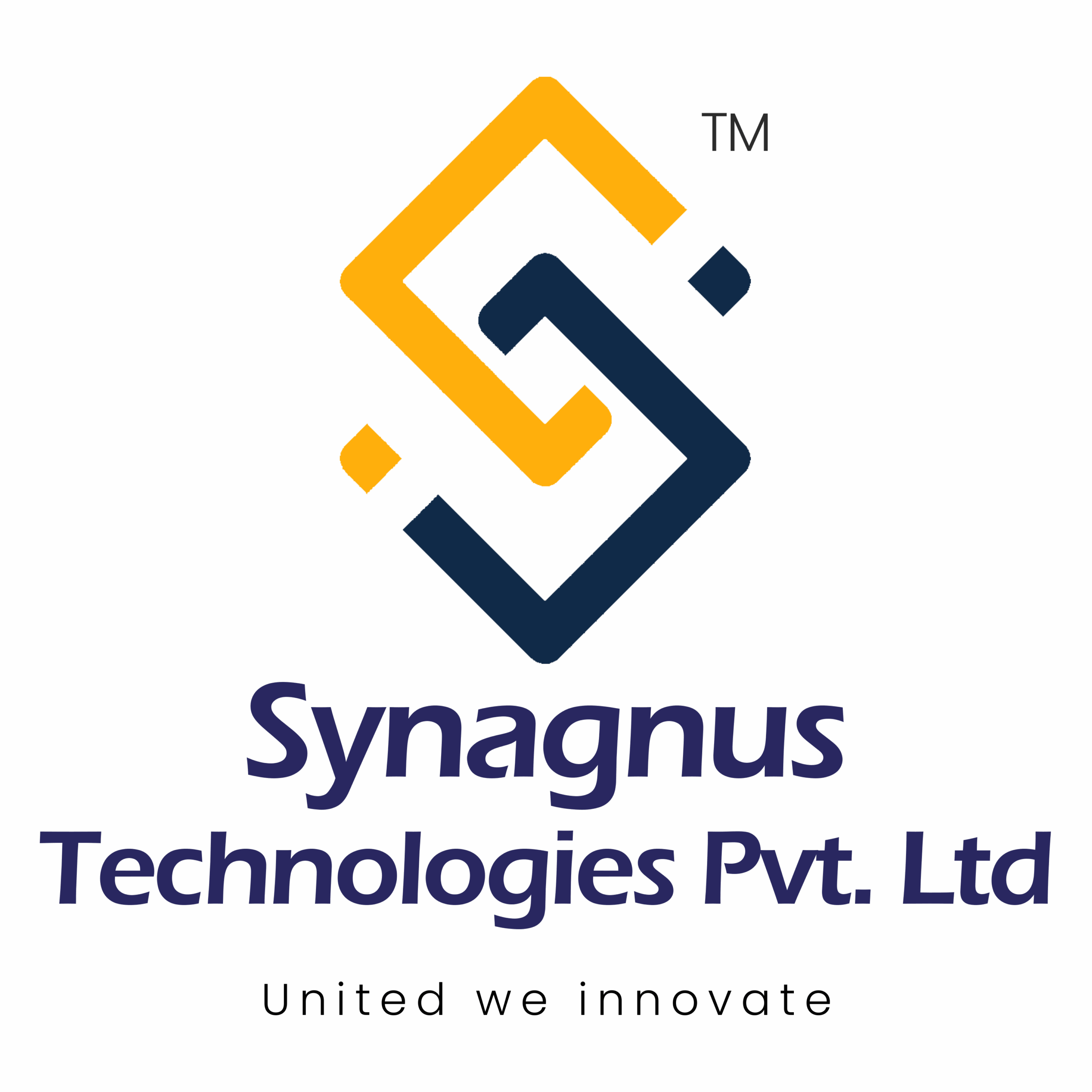 Synagnus technology pvt ltd