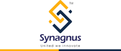 synagnus.com