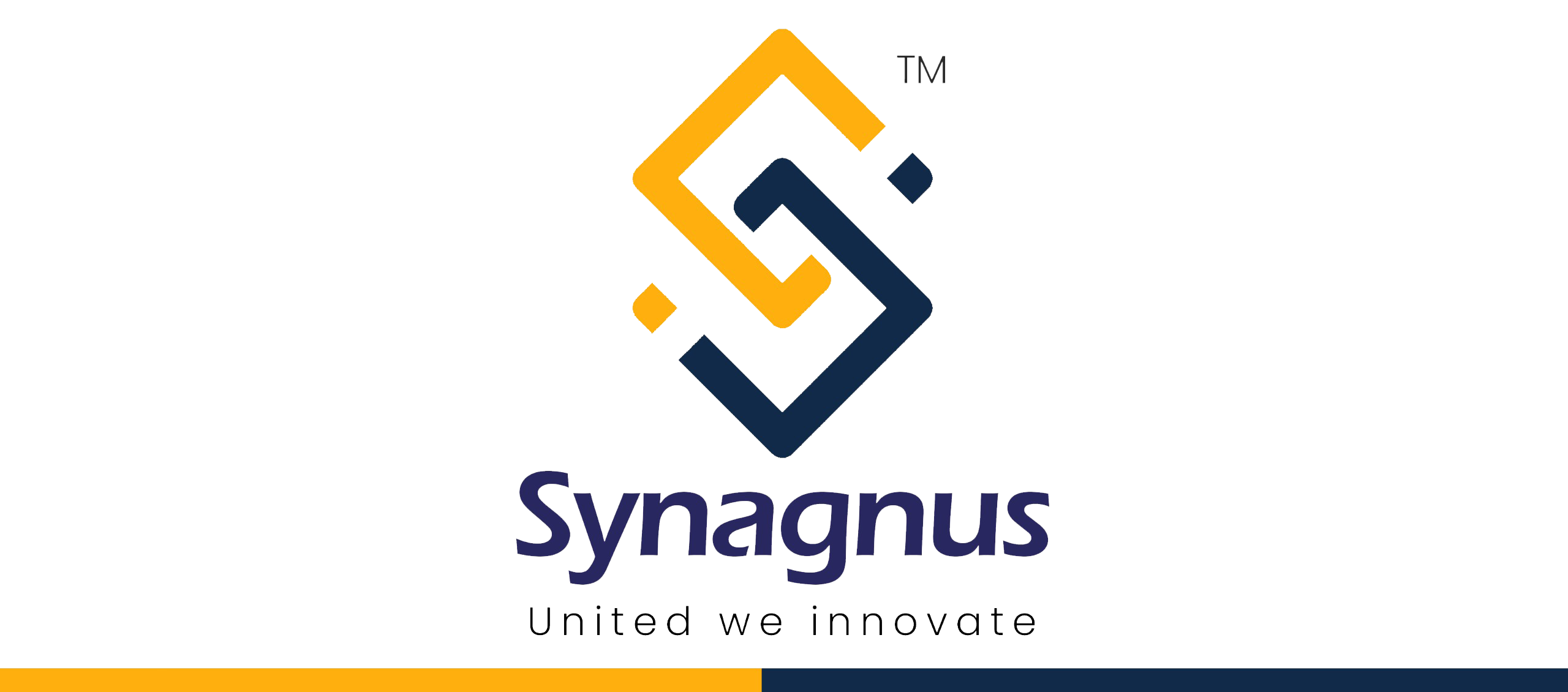 synagnus.com